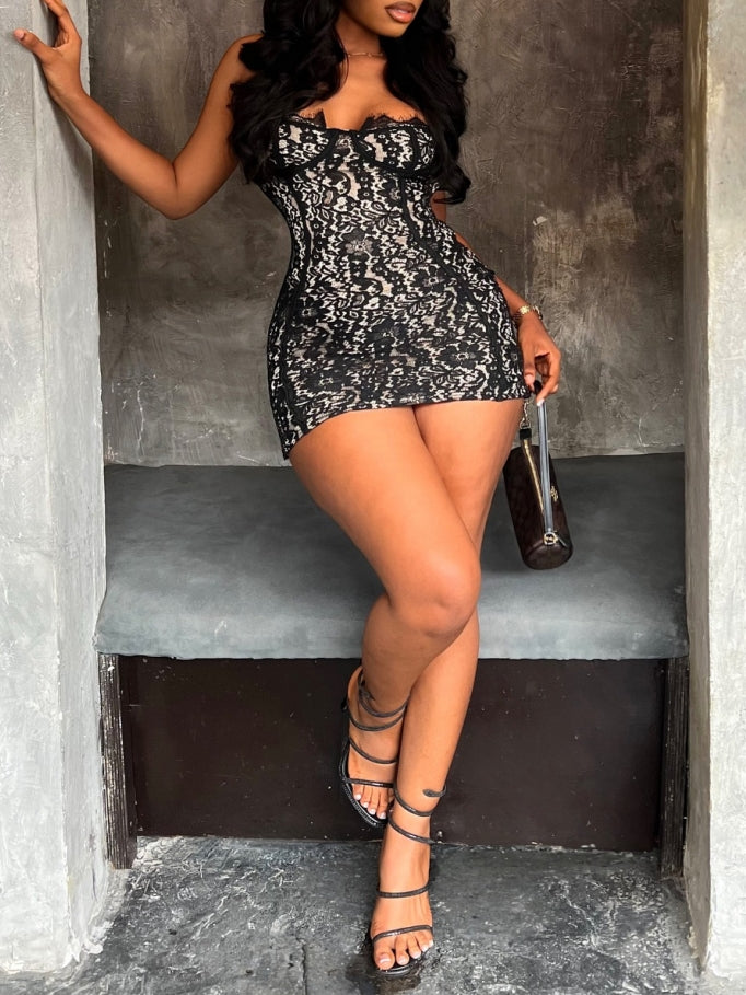 Black And White Lace Bodycon Mini Dress